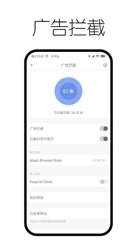 神奇浏览器  v0.9.8.5图4