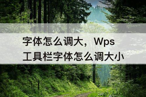 字体怎么调大，Wps工具栏字体怎么调大小