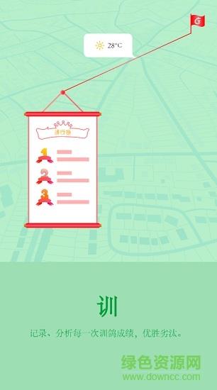 天下鸽谱  v1.1.5图1