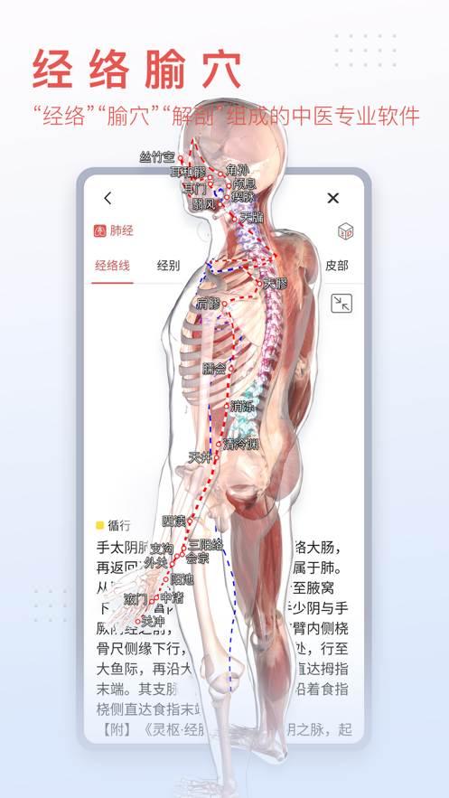 3Dbody解剖  v8.6.90图2