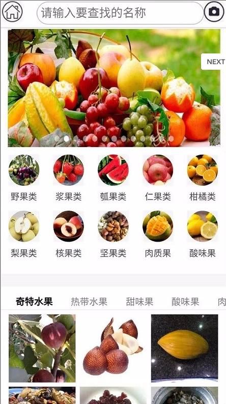 水果百科  v2.1.9图4