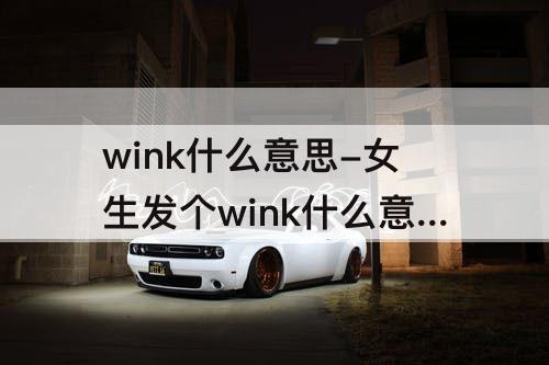 wink什么意思-女生发个wink什么意思