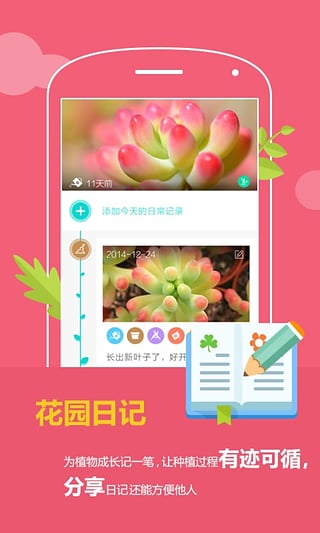 花满城