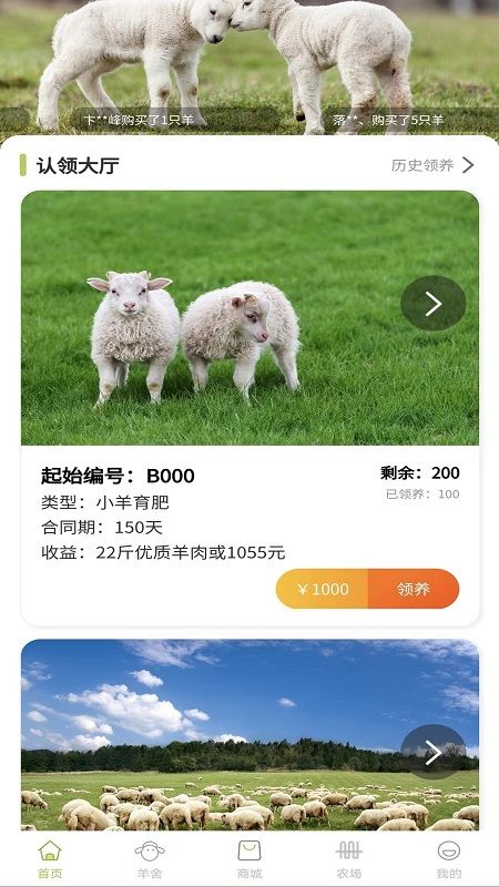 养羊得益  v2.0.3图2