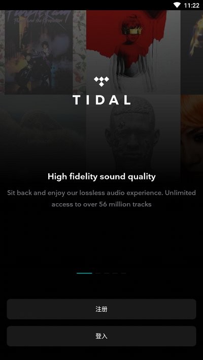 tidal  v2.40.2图1