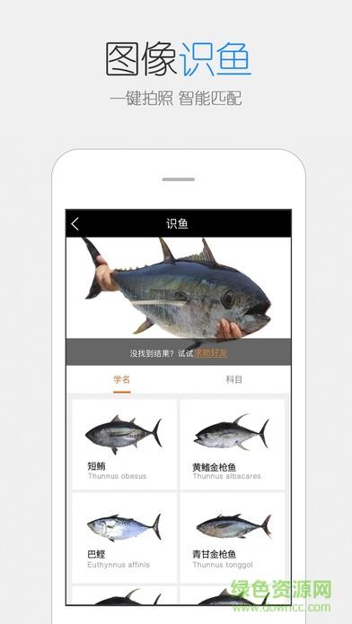 catches渔获  v3.9.52图2