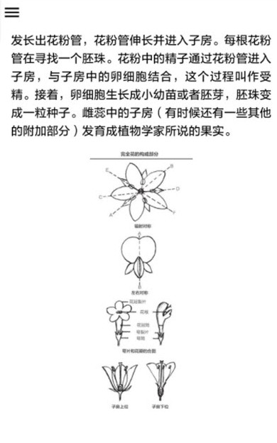 野外植物识别手册