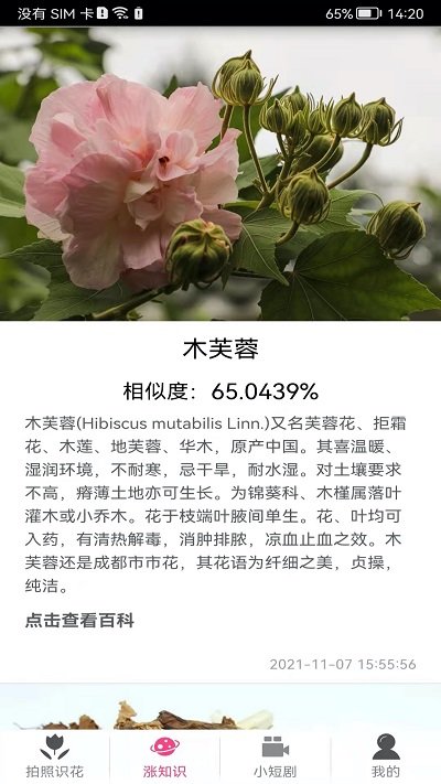 拍照识花神器  v5.5.5图1