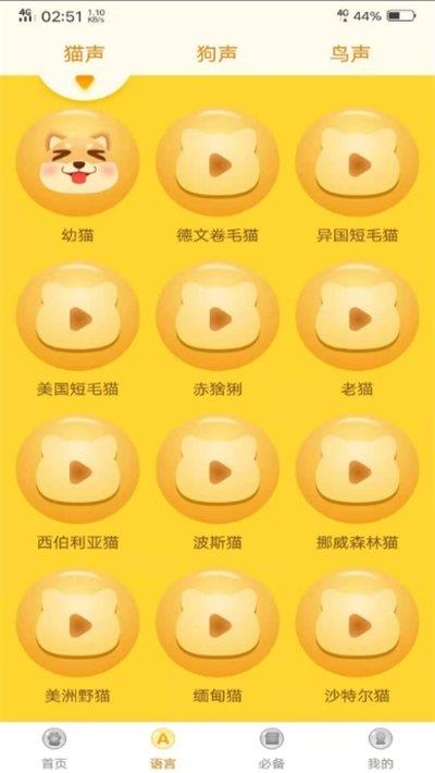 八哥鸟语翻译器  v1.2.0图1