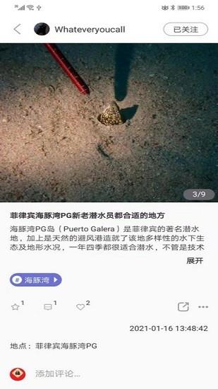 潜水指南moredive  v1.0图1