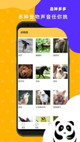 猫狗翻译神器  v1.5图1