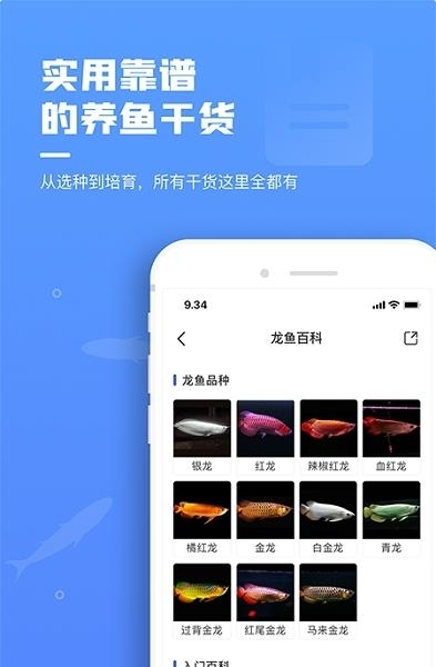 鲲天下  v1.16.4图1