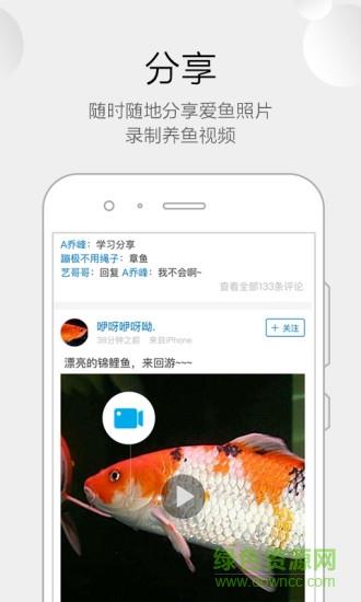 龙巅鱼邻  v5.1.3图3