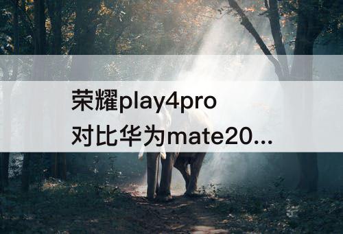 荣耀play4pro对比华为mate20pro