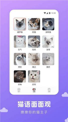 猫语翻译君  v1.0.0图1