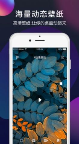 Mix壁纸  v1.0图3