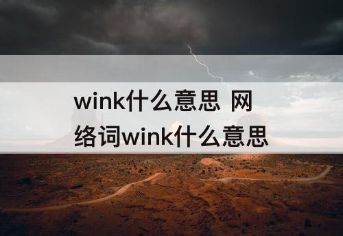 wink什么意思 网络词wink什么意思