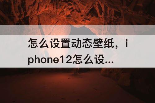 怎么设置动态壁纸，iphone12怎么设置动态壁纸