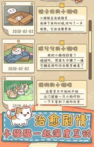 猫猫涨芝士