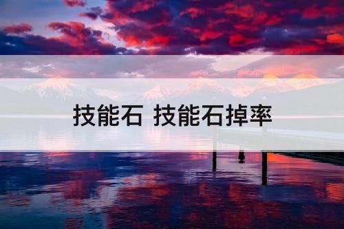 技能石 技能石掉率