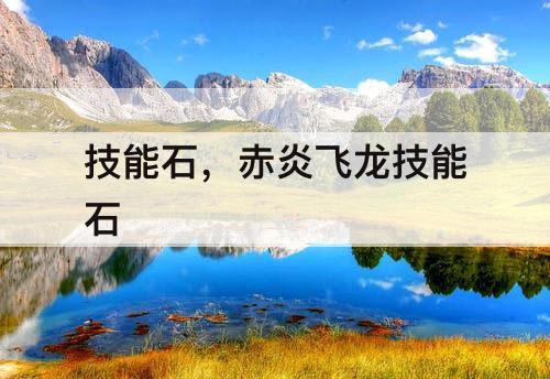技能石，赤炎飞龙技能石