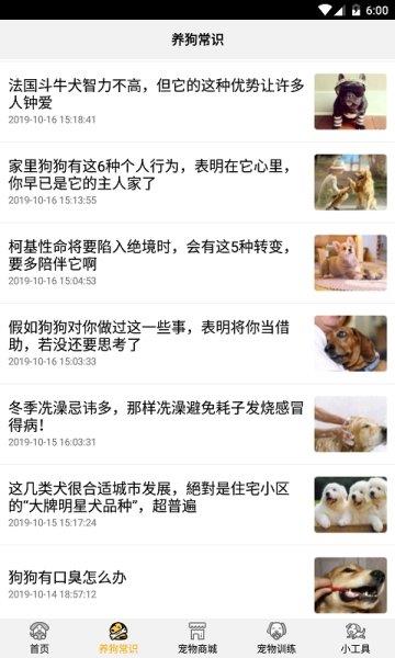 跑狗翻译  v1.1.6图1