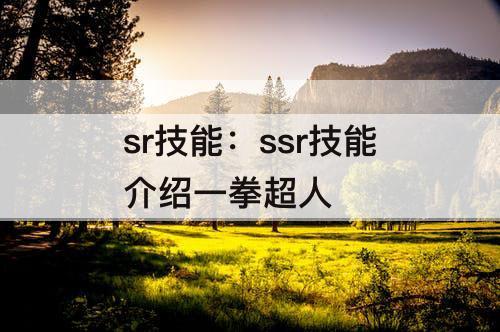 sr技能：ssr技能介绍一拳超人