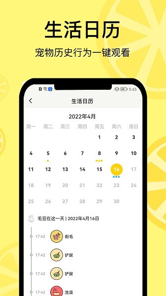 宠日常  v19.0.0图2