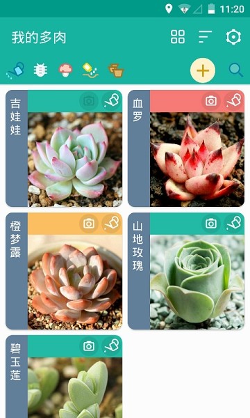 多肉成长记  v4.7.8图3