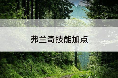 弗兰奇技能加点
