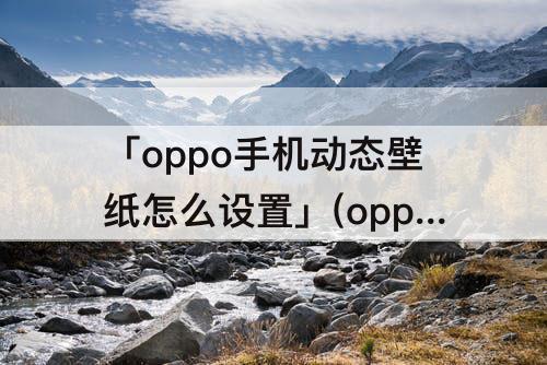 「oppo手机动态壁纸怎么设置」(oppo手机动态壁纸怎么设置声音抖音)