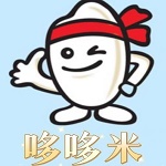 哆哆米2023