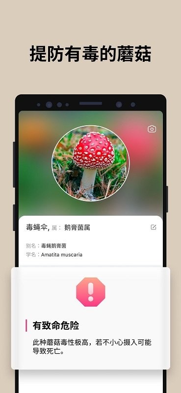 蘑菇识别app  v2.8.13图2