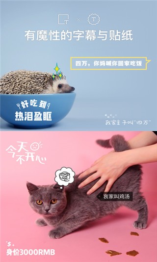 猫饼免费版  v2.0.0图1