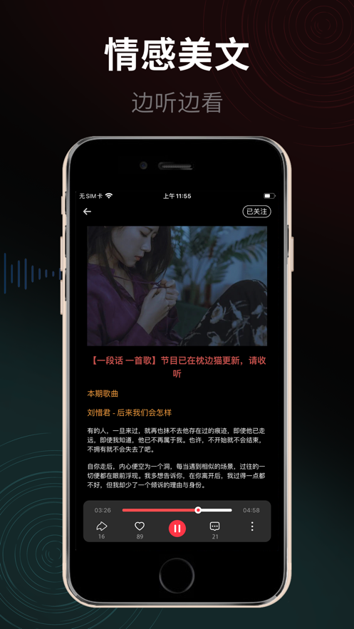 枕边猫2024  v1.0图1