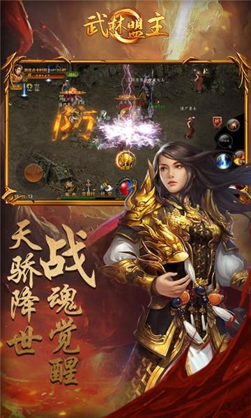 武林盟主  v2.01图3