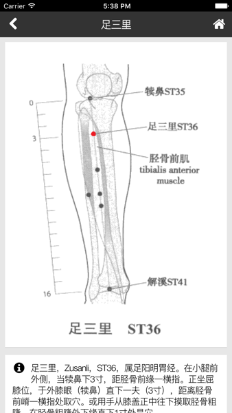 国医堂-中医全科专家