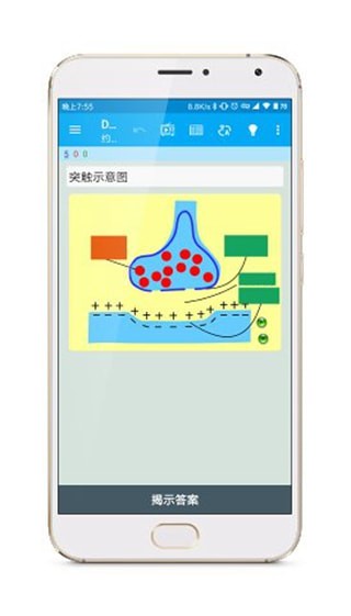 anki涂鸦制卡官网  v1.2.1图1