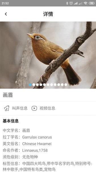 鸟叫声大全  v5.0.3图1