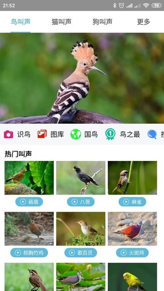 鸟叫声大全  v5.0.3图3