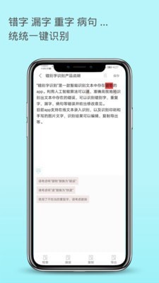 错别字识别  v1.0.0图2