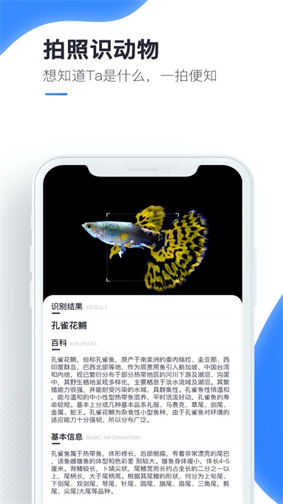 百科扫描王最新版下载安装官网  v1.0.0图1