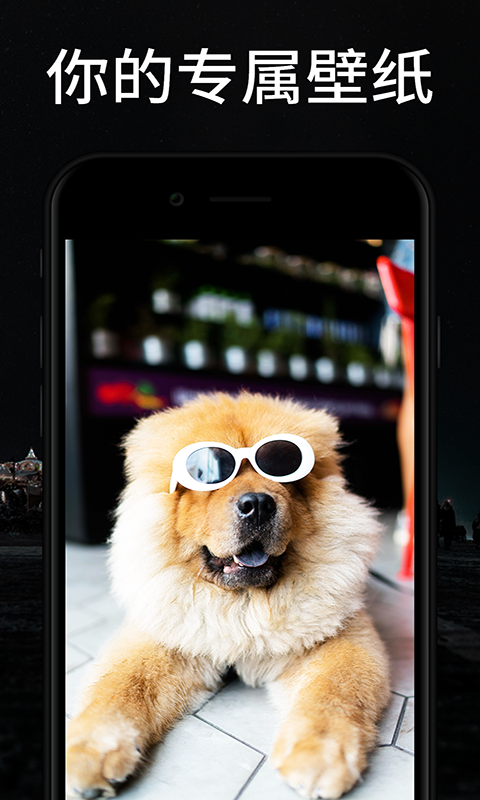 焕彩桌面下载官网手机版苹果  v1.0.1图3