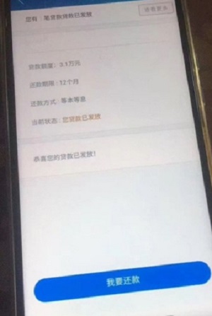 金蝶效贷APP下载