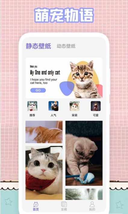 我的猫咪壁纸  v1.1图1