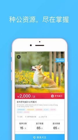 宠爱王国  v3.9.1图3