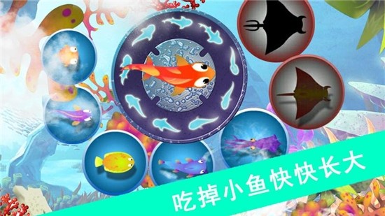 鲨鱼风暴  v1.1.5图2