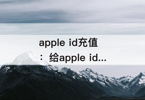 apple id充值：给apple id充值后怎么看余额