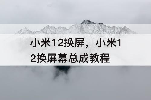 小米12换屏，小米12换屏幕总成教程