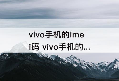 vivo手机的imei码 vivo手机的imei码一般有哪些